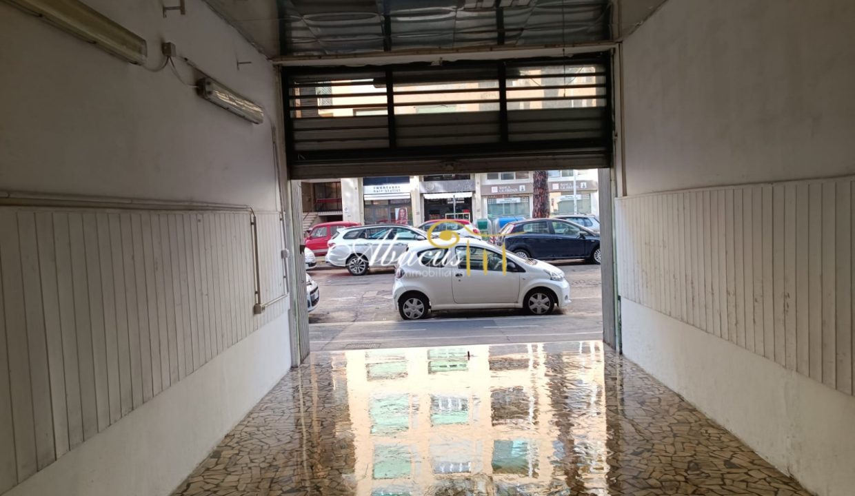 Immagine_WhatsApp_2024-03-28_ore_10.28.47_92dd3cff_6605a180bf9b7