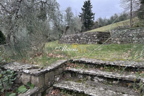 IMG_9709_68dced647a86c